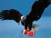 Заредете се с енергия с натуралната енергийна напитка ФАБ Заредете се с енергия с натуралната енергийна напитка ФАБ