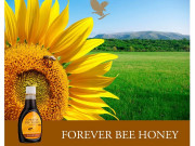 Forever Bee Honey (Пчелен мед от Форевър)