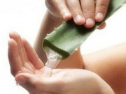 АЛОЕ ВЕРА АЛОЕ ВЕРА