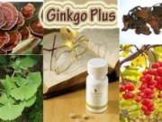 Forever Ginkgo Plus: ХРАНА ЗА МИСЪЛТА Forever Ginkgo Plus: ХРАНА ЗА МИСЪЛТА