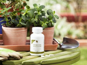 Forever Calcium Forever Calcium