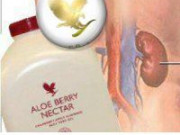 Жизненост и сияйна кожа от Алое бери нектар Жизненост и сияйна кожа от Алое бери нектар