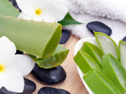 АЛОЕ ВЕРА АЛОЕ ВЕРА