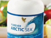 Форевър Арктическо море Форевър Арктическо море