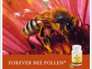 ЗДРАВИ ЛЮБИМЦИ ЗДРАВИ ЛЮБИМЦИ