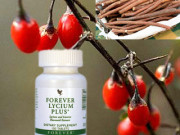 ФОРЕВЪР ЛИЦИУМ ПЛЮС ФОРЕВЪР ЛИЦИУМ ПЛЮС