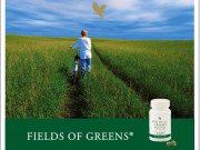 Fields of Greens зеленчуци който не яде... Fields of Greens зеленчуци който не яде...