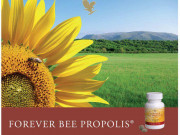 ПЧЕЛЕН ПРОПОЛИС ПЧЕЛЕН ПРОПОЛИС