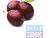 Атакувайте СТАРЕЕНЕТО с новия си любим козметичен режим Атакувайте СТАРЕЕНЕТО с новия си любим козметичен режим