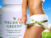 Fields of Greens зеленчуци който не яде... Fields of Greens зеленчуци който не яде...