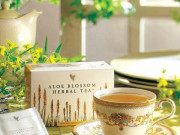 Aloe Blossom Herbal Tea Aloe Blossom Herbal Tea