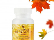 Храна от кошера Храна от кошера