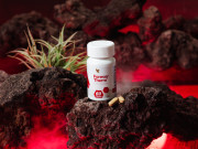 Форевър ТЕРМ Подкрепя всички фази в горенето на мазнини Форевър ТЕРМ Подкрепя всички фази в горенето на мазнини