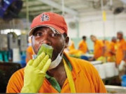 Отглеждаме добро Отглеждаме добро