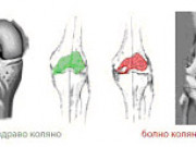 Да почувстваме радостта от движението с продуктите на ФЛП Да почувстваме радостта от движението с продуктите на ФЛП