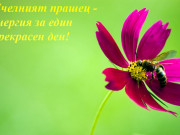 Най-съвършената храна Най-съвършената храна