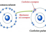 ХРАНИТЕЛНИТЕ ДОБАВКИ МОГАТ ДА СПАСЯВАТ ЖИВОТ ХРАНИТЕЛНИТЕ ДОБАВКИ МОГАТ ДА СПАСЯВАТ ЖИВОТ