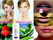 ALOE LIPS за всички сезони ALOE LIPS за всички сезони