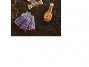 Незаменими през ваканцията Незаменими през ваканцията