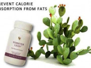 Фибри и хром за стройна фигура Фибри и хром за стройна фигура