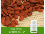 ФОРЕВЪР ЛИЦИУМ ПЛЮС ФОРЕВЪР ЛИЦИУМ ПЛЮС