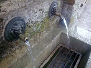 Водата лекува всички болести Водата лекува всички болести