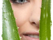 Защо организмът ни се нуждае от Алое Вера? Защо организмът ни се нуждае от Алое Вера?