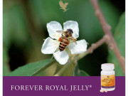 ПЧЕЛНО МЛЕЧИЦЕ ПЧЕЛНО МЛЕЧИЦЕ